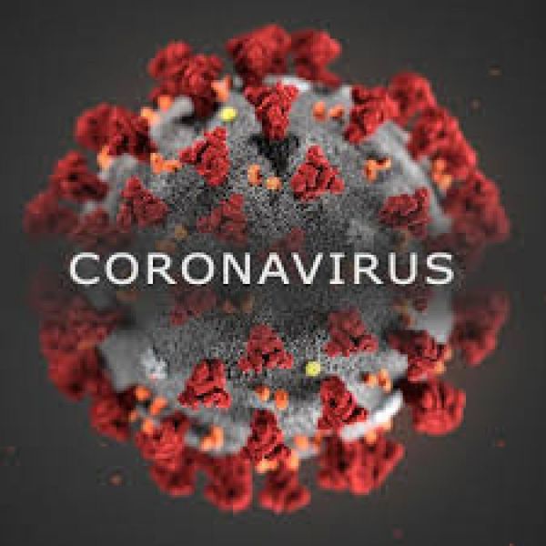 Otros 2 fallecidos por coronavirus y total de casos aumenta a 3817