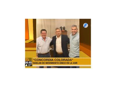 Marito se reunió con Cartes y los 13 gobernadores colorados