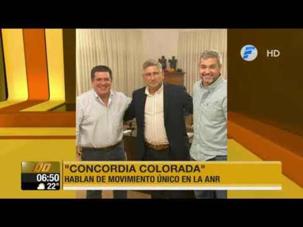 Abdo y Cartes afianzan movimiento “Concordia Colorada“