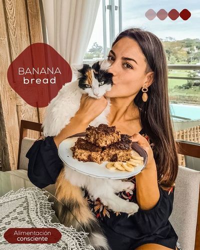 Nutrición: Bizcochuelos húmedos como snack - Bienestar - ABC Color