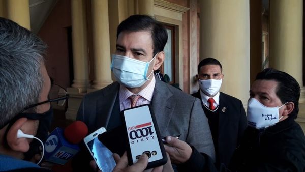 Reunión entre Mario Abdo y Horacio Cartes es "sumamente saludable", dice senador
