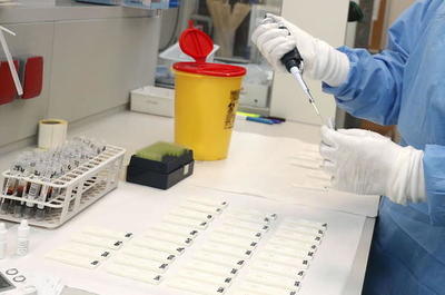 Sospechas apuntan a que las muestras de la APF se contaminaron en el laboratorio del IICS - UNA, afirma Portillo » Ñanduti