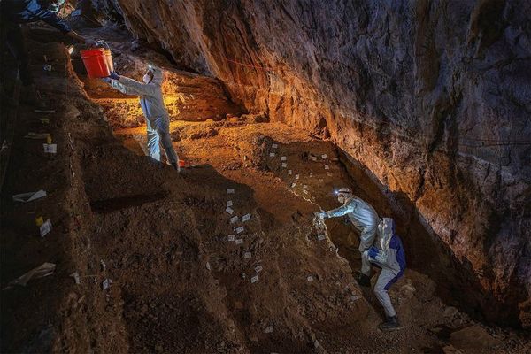 Humanos vivían hace 30.000 años en Norteamérica - Ciencia - ABC Color