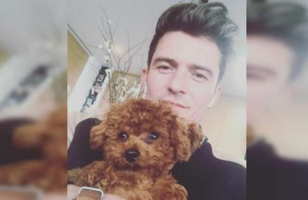 Orlando Bloom pierde las esperanzas de encontrar con vida a su perro - SNT
