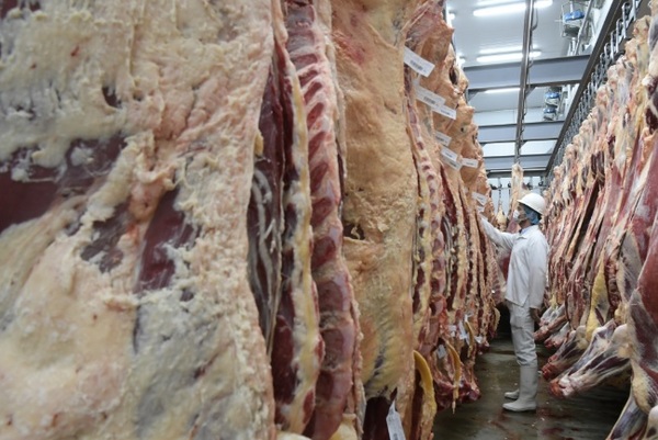 Argentina reabrió el mercado de Malasia para la carne bovina, después de 10 años