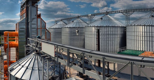 Industria aceitera continúa en riesgo, sostiene la Cappro