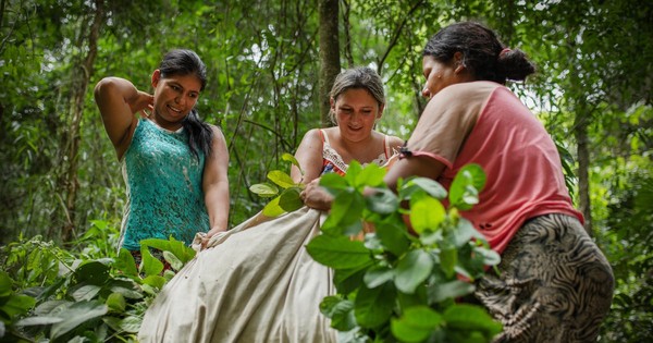 Ejecutivo reglamenta Ley de Políticas Públicas para Mujeres Rurales