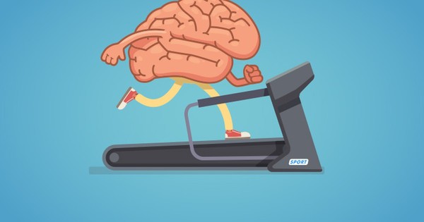 Día Mundial del Cerebro: la importancia de mantenerlo sano
