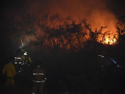 Reportan quema de pastizal en la Costanera Norte