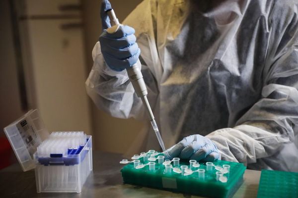 Laboratorio de la UNA responde a Mazzoleni y defiende sus resultados y procesos - Nacionales - ABC Color
