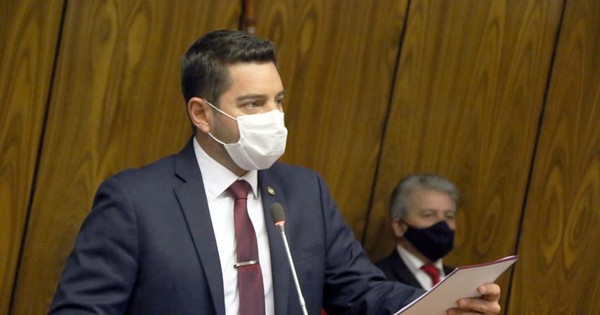 “Escuché cómo la gente de otro partido se repartía ministerios”, revela Alliana