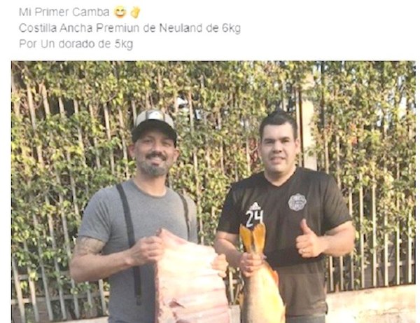 Cambachivache causa sensación en las redes | Crónica