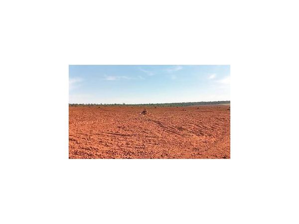 Denuncian desmonte de casi 1.000 ha.
