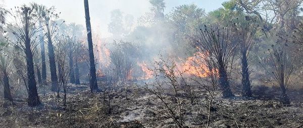 Focos de incendio generan preocupación en el Chaco - Nacionales - ABC Color