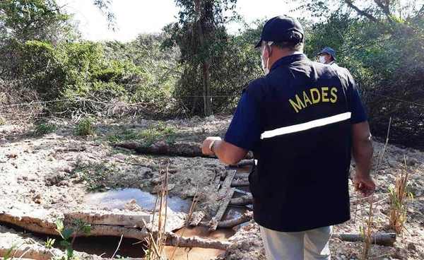 Luque: Nueva intervención a matadería de caballos • Luque Noticias