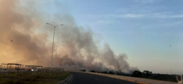 Incendios en la Costanera habrían sido provocados