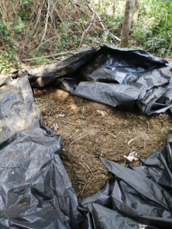 Traficantes de marihuana tenían secuestrado a ganadero en Tavaí - Megacadena — Últimas Noticias de Paraguay