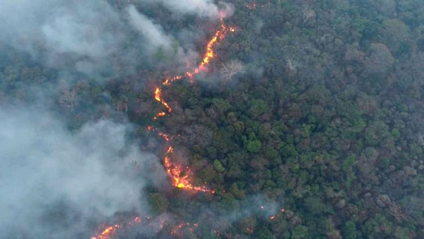 Preocupan focos de incendio en el Chaco