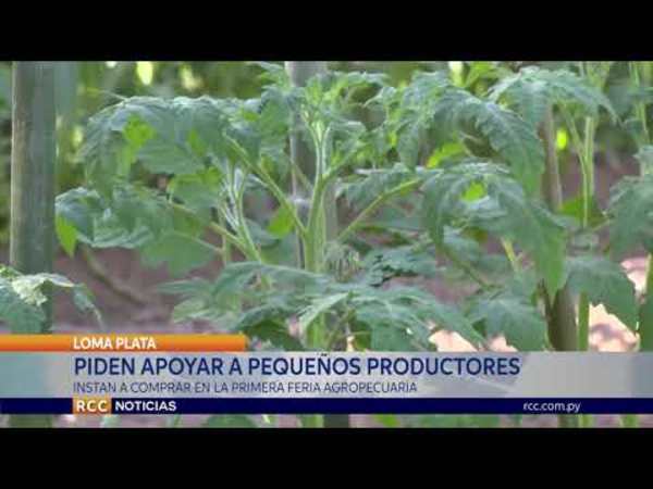 PIDEN APOYAR A PEQUEÑOS PRODUCTORES COMPRANDO EN LA PRIMERA FERIA AGROPECUARIA