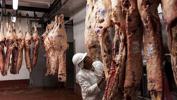 Brasil mantiene un fuerte ritmo exportador de carne bovina en julio