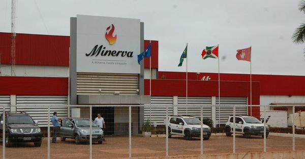 Minerva anunció en Brasil un millonario fondo de ayudas a sus clientes