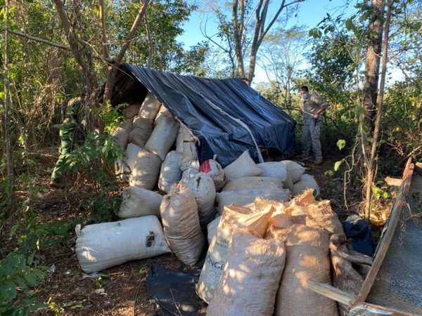 Destruyen 2.500 kilos de marihuana en laboratorio clandestino de Amambay » Ñanduti