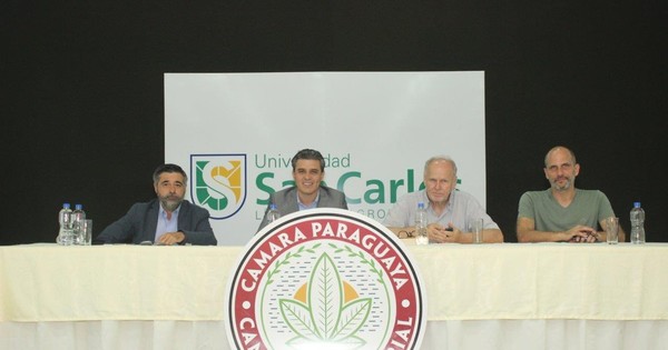 MAG “privatiza” cultivo de cáñamo en más de 300 hectáreas, denuncia Cannapy