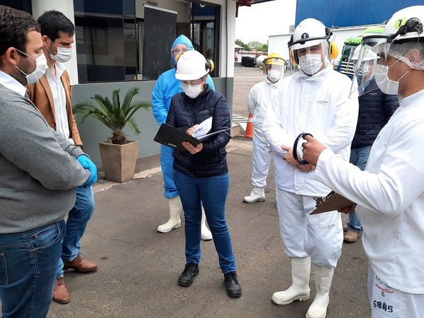 Comuna sugiere cese de actividades a frigorífico tras brote de Covid-19