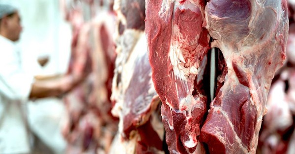 Sudáfrica reabre mercado para la carne paraguaya