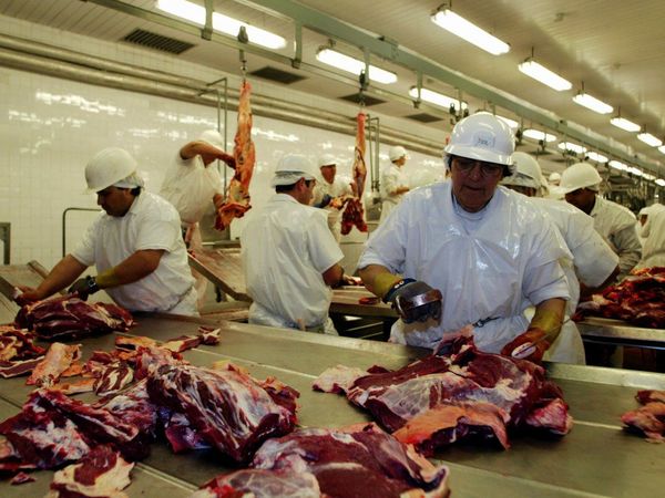 Sudáfrica habilita a frigoríficos para la exportación de carne paraguaya