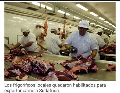 Sudáfrica habilita a frigoríficos para la exportación de carne paraguaya