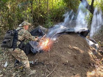 Senad incautó y destruyó más de 6 toneladas de marihuana en Pedro Juan Caballero