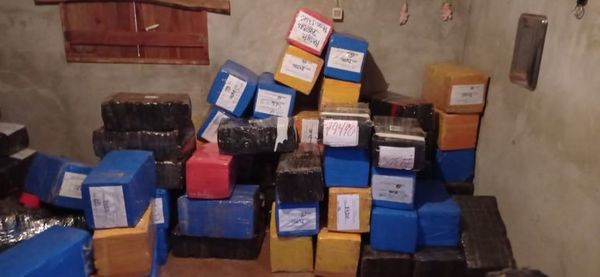 Decomisan más de dos toneladas de marihuana y caen cuatro narcos - Nacionales - ABC Color