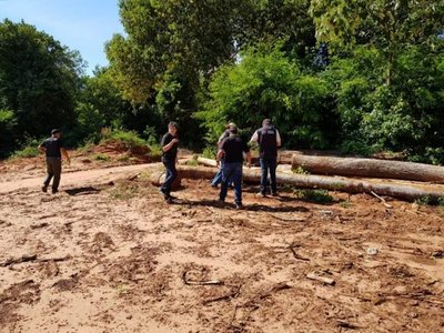 Imputan a brasileño por tala de arboles nativos | Noticias Paraguay
