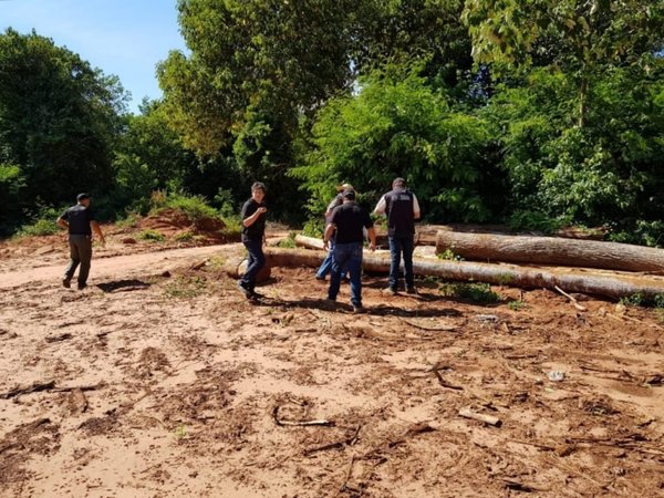 Imputan a brasileño por tala de arboles nativos | Noticias Paraguay