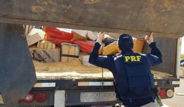 Incautan 9 toneladas de marihuana en medio de una carga de maíz en Ponta Porã