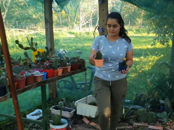 Universitaria concepcionera sin trabajo crea su empresa