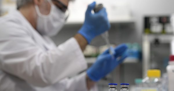 Argentina ensayará con suero equino