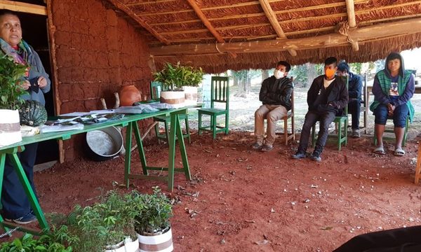 Con 2.500 plantines, Itaipú arboriza dos comunidades indígenas en Yguazú