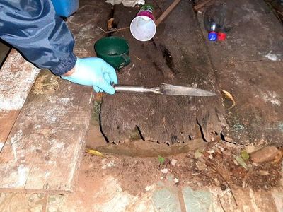 Padre e hijo, asesinados en Caaguazú - Nacionales - ABC Color