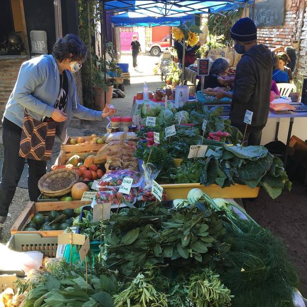 Propuesta fresca: Sigue la Feria Agroecológica en la Plaza Italia todos los sábados » Ñanduti