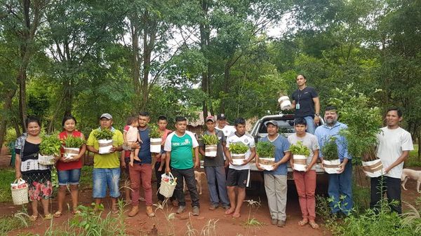 Realizan arborización en dos comunidades indígenas - ABC en el Este - ABC Color