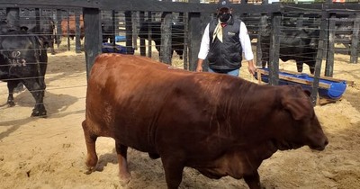 Feria de la ACBP recaudó G. 1.676 millones, pese a la pandemia