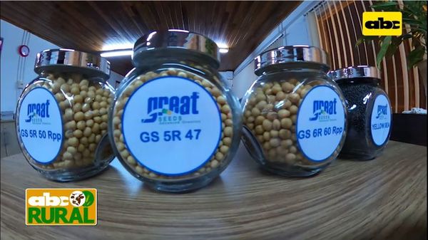 Abc Rural: Great Seeds, experiencia en productos de semillas - ABC Rural - ABC Color