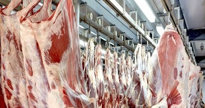 Prevén enviar 12 mil toneladas de carne paraguaya a Sudáfrica