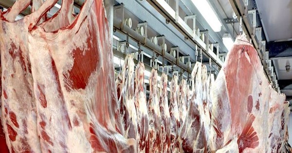 Prevén enviar 12 mil toneladas de carne paraguaya a Sudáfrica