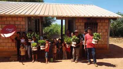 En comunidades nativas se desarrolla trabajo de reforestación - Noticde.com