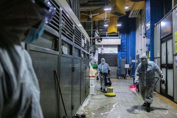 Hong Kong decreta obligatorio el uso de mascarilla en público - Mundo - ABC Color