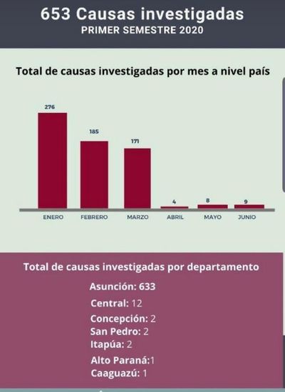 En el primer semestre del año se registraron 653 causas de pornografía infantil