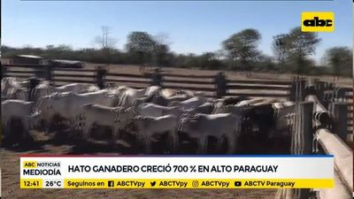 Hato ganadero creció 700% en el Alto Paraguay - ABC Noticias - ABC Color